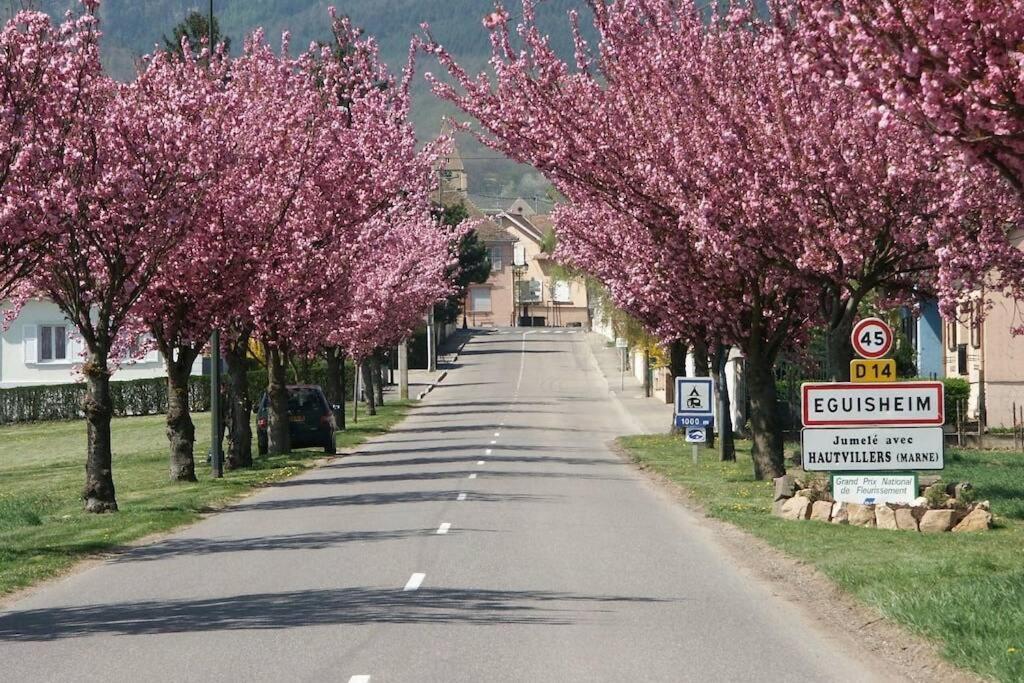 Gite A Eguisheim Proche De Colmar Et Kaysergberg. المظهر الخارجي الصورة