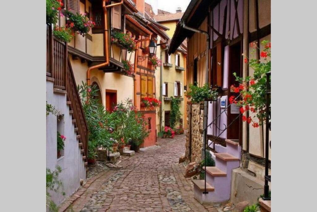 Gite A Eguisheim Proche De Colmar Et Kaysergberg. المظهر الخارجي الصورة