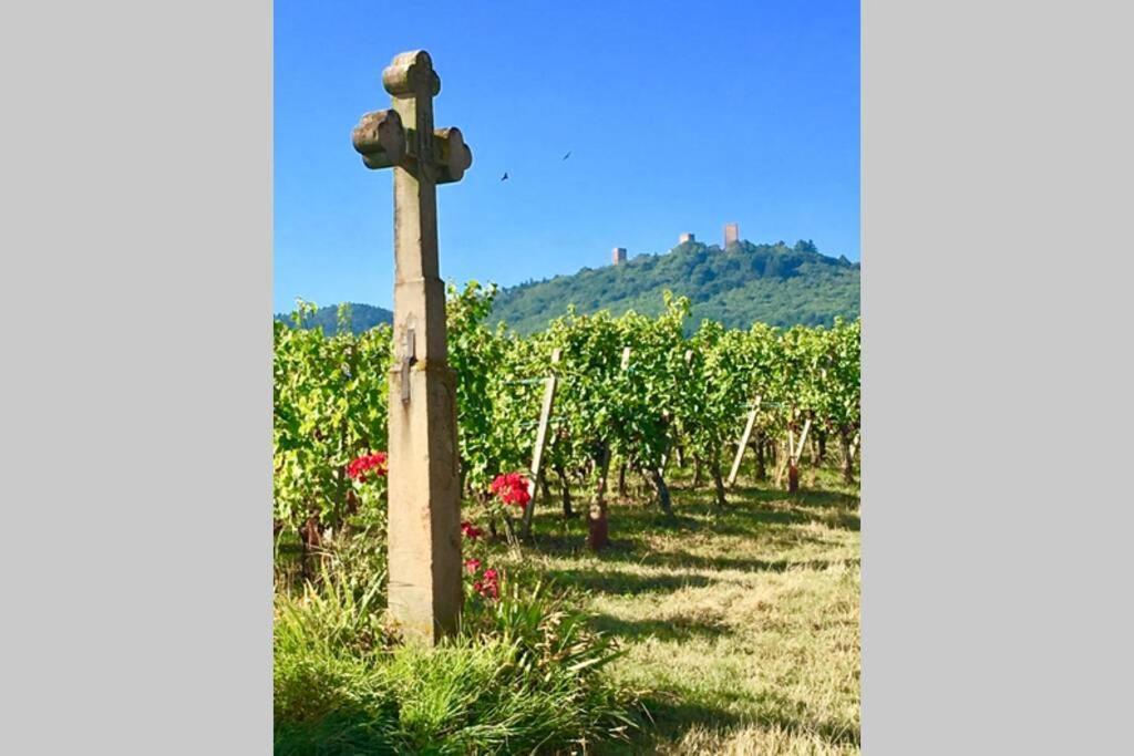 Gite A Eguisheim Proche De Colmar Et Kaysergberg. المظهر الخارجي الصورة